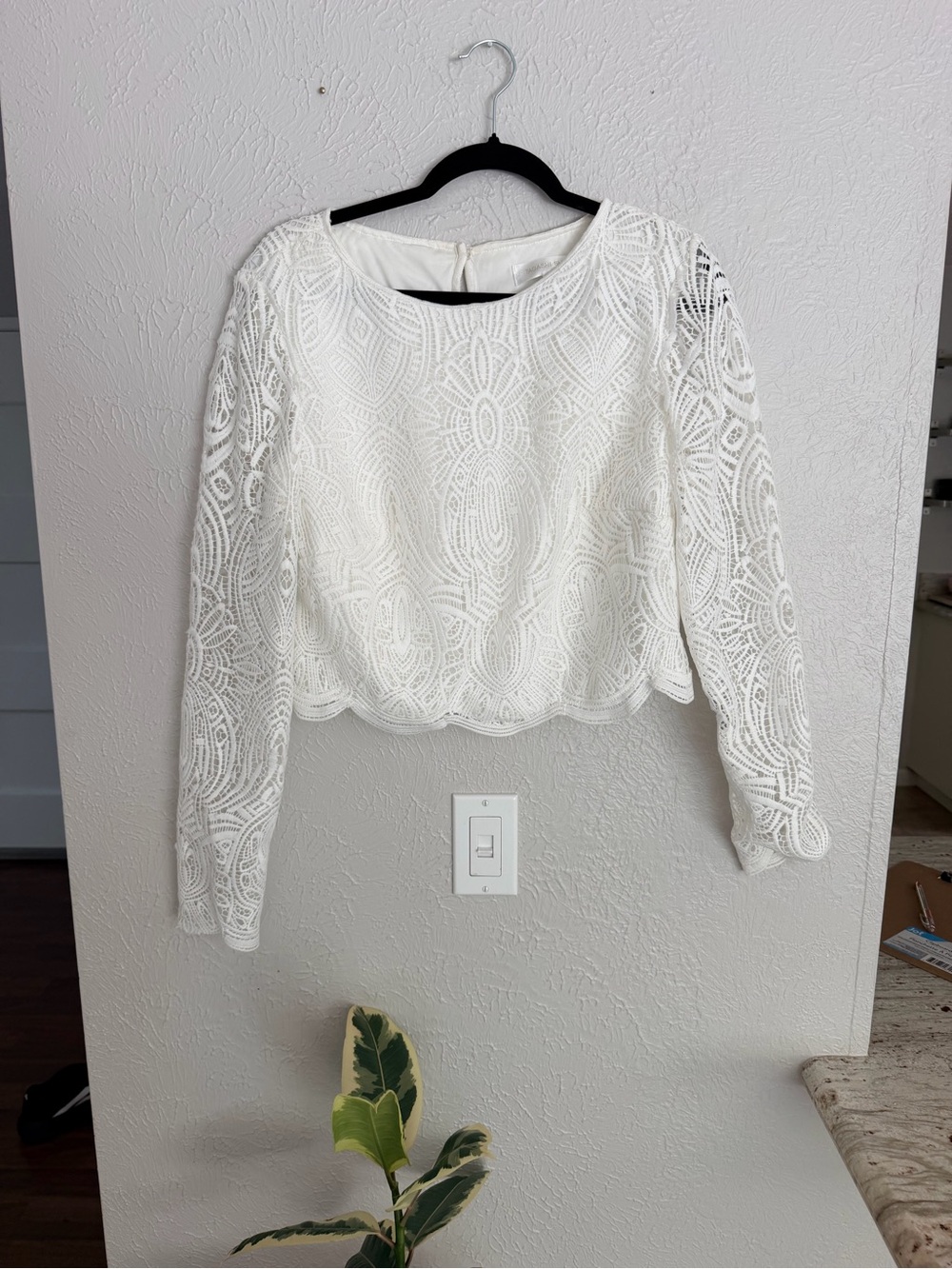 Tadashi Shoji cream lace scalloped long sleeve blouse dress topper 14 NWT